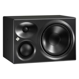 KH 310 A GAUCHE Neumann