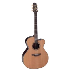 DN25C Takamine