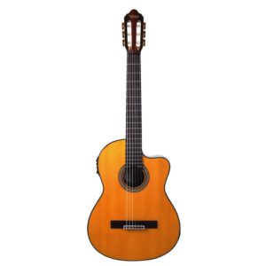 Guitare electro acoustique