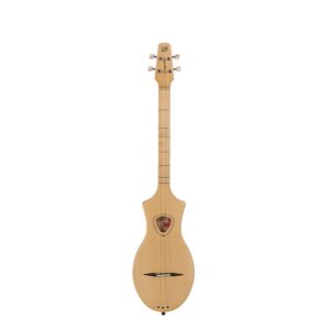 Autre instrument à cordes