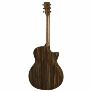 Martin Guitars GPCX2AE