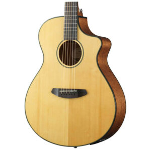 DISCOVERY CONCERT CE Breedlove