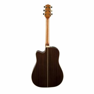 GD51CE NAT Takamine