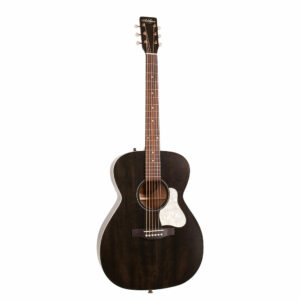 LEGACY FADED BLACK Art et Lutherie