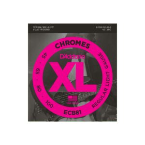 ECB81 CHROMES REGULAR LIGHT 45-100 LONG SCALE D’Addario