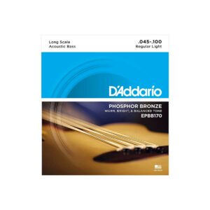 EPBB170 BASSE ACOUSTIQUE 45-100 D’Addario