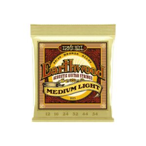 EARTHWOOD MEDIUM LIGHT BRONZE 12-54 Ernie Ball