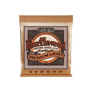 EARTHWOODMEDIUM LIGHT 12-54 Ernie Ball