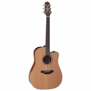 EN10C Takamine