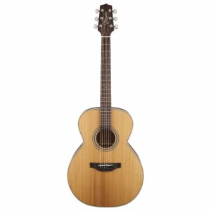 GN20NS Takamine