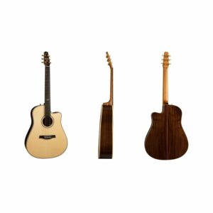 ARTIST STUDIO CW DELUXE ELEMENT HG Seagull - Guitare Folk Electro-Acoustique - Sonowest