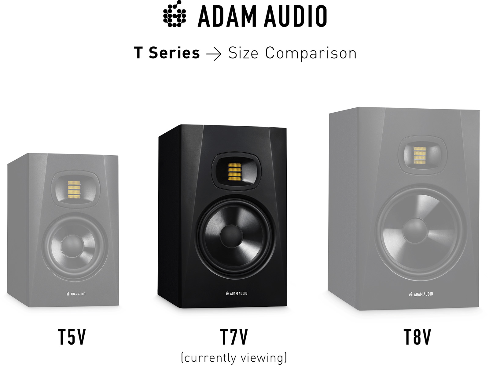 RAD-T7V-6-B