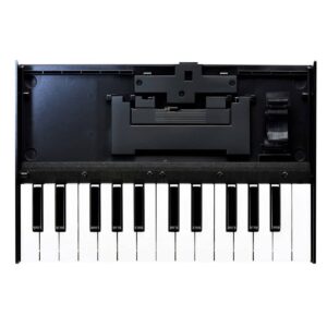 K-25M Roland