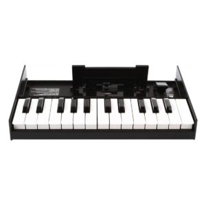 K-25M Roland