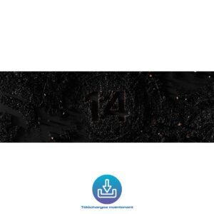 KOMPLETE 14 COLLECTOR’S EDITION Upgrade for KOMPLETE 14 ULTIMATE DL Native Instruments - Logiciels - Sonowest