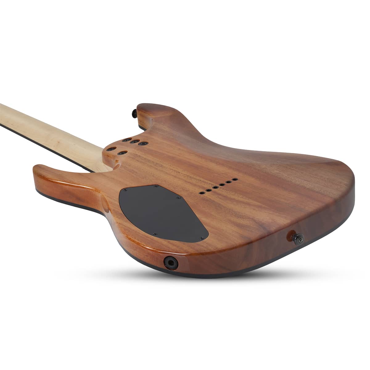 C-6 PRO AURORA BURST Schecter-3