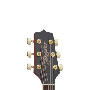 GD51CE GAUCHER NAT Takamine