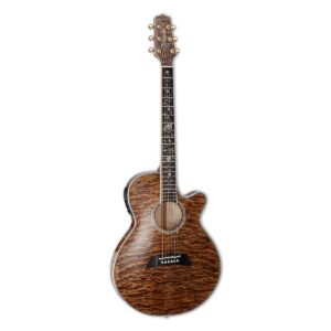 TSP100VT Takamine