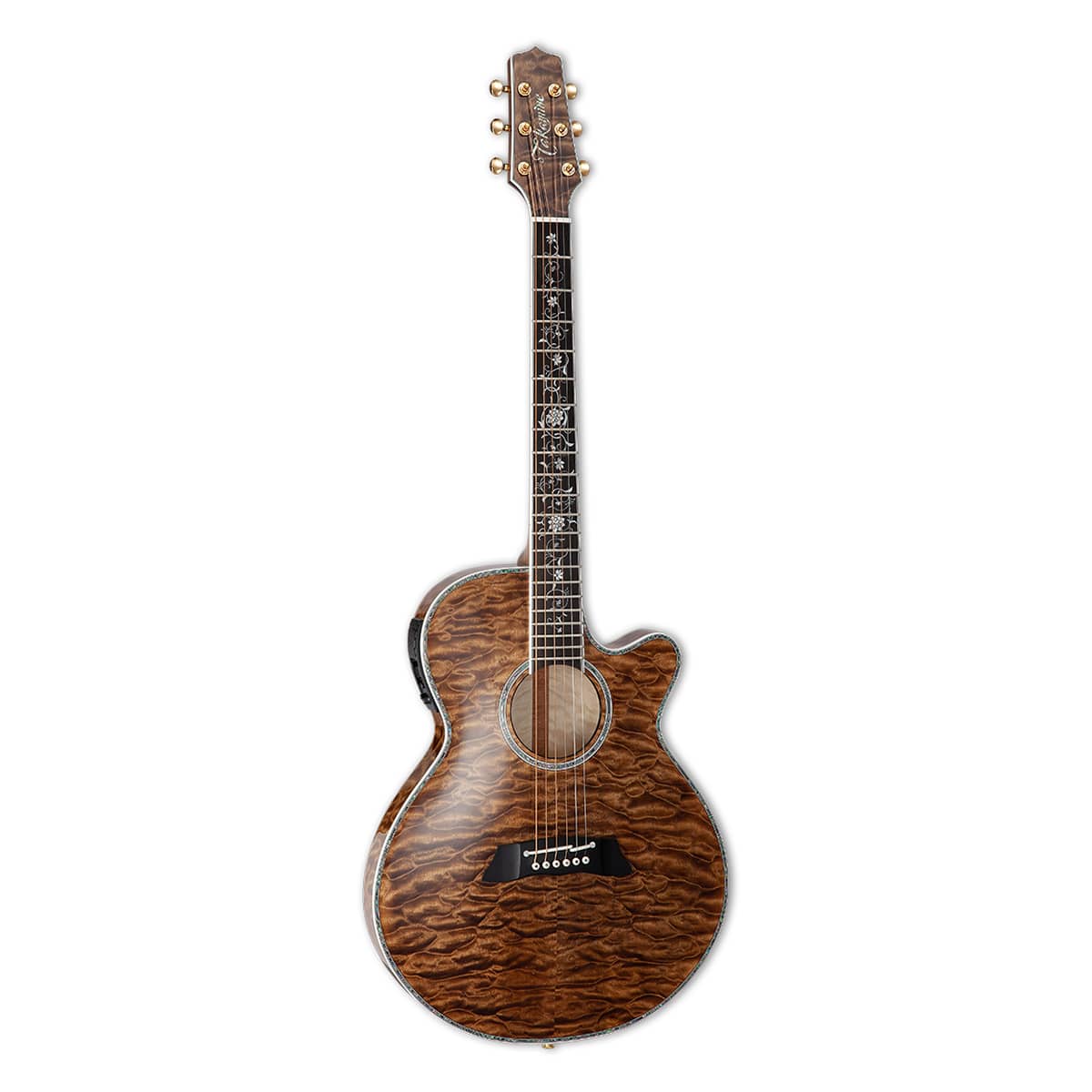 TSP100VT Takamine-1