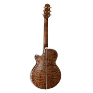 TSP100VT Takamine