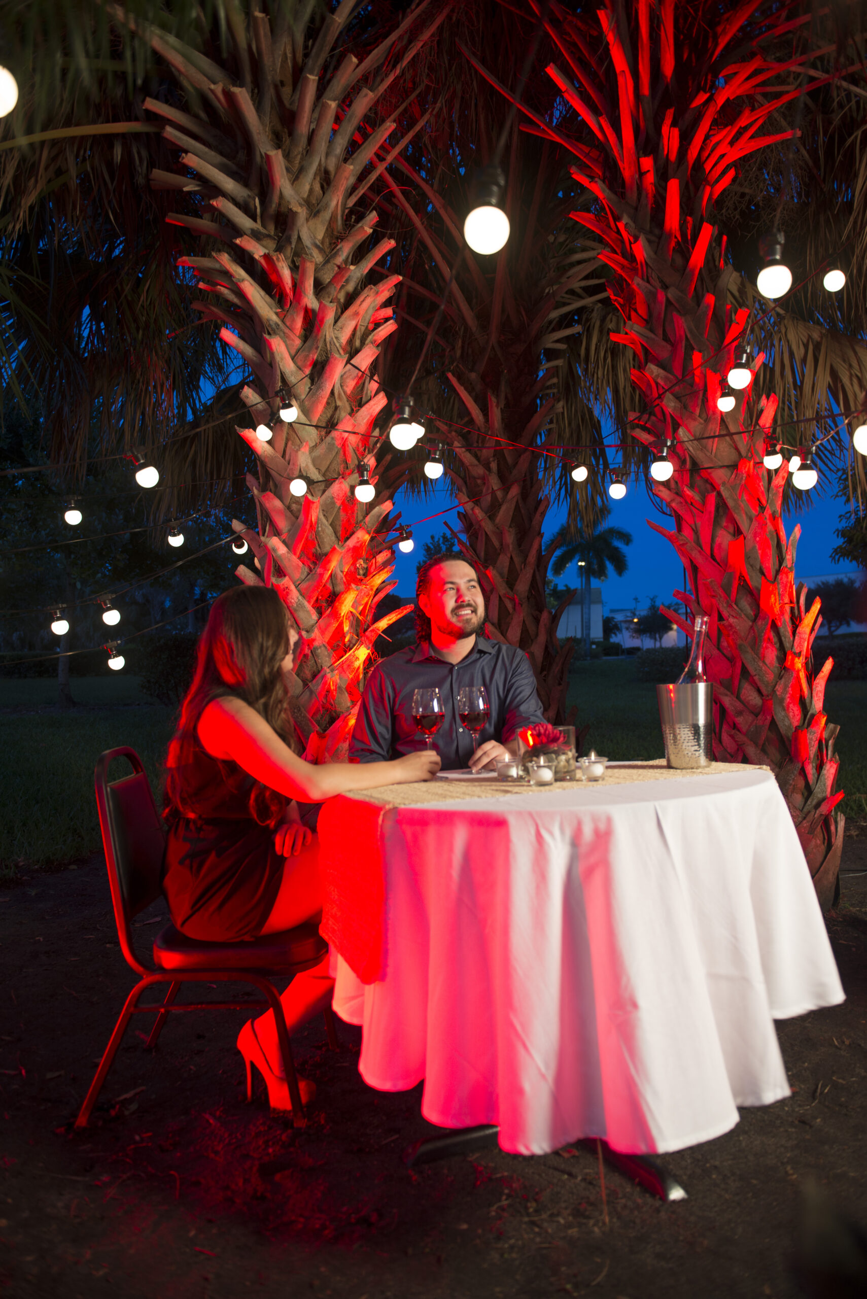 Festoon 2 RGB Chauvet DJ - Eclairage - Sonowest
