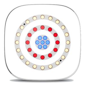 Freedom Centerpiece Chauvet