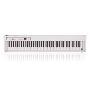 D1 WHITE Korg