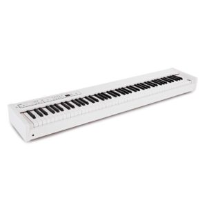 D1 WHITE Korg