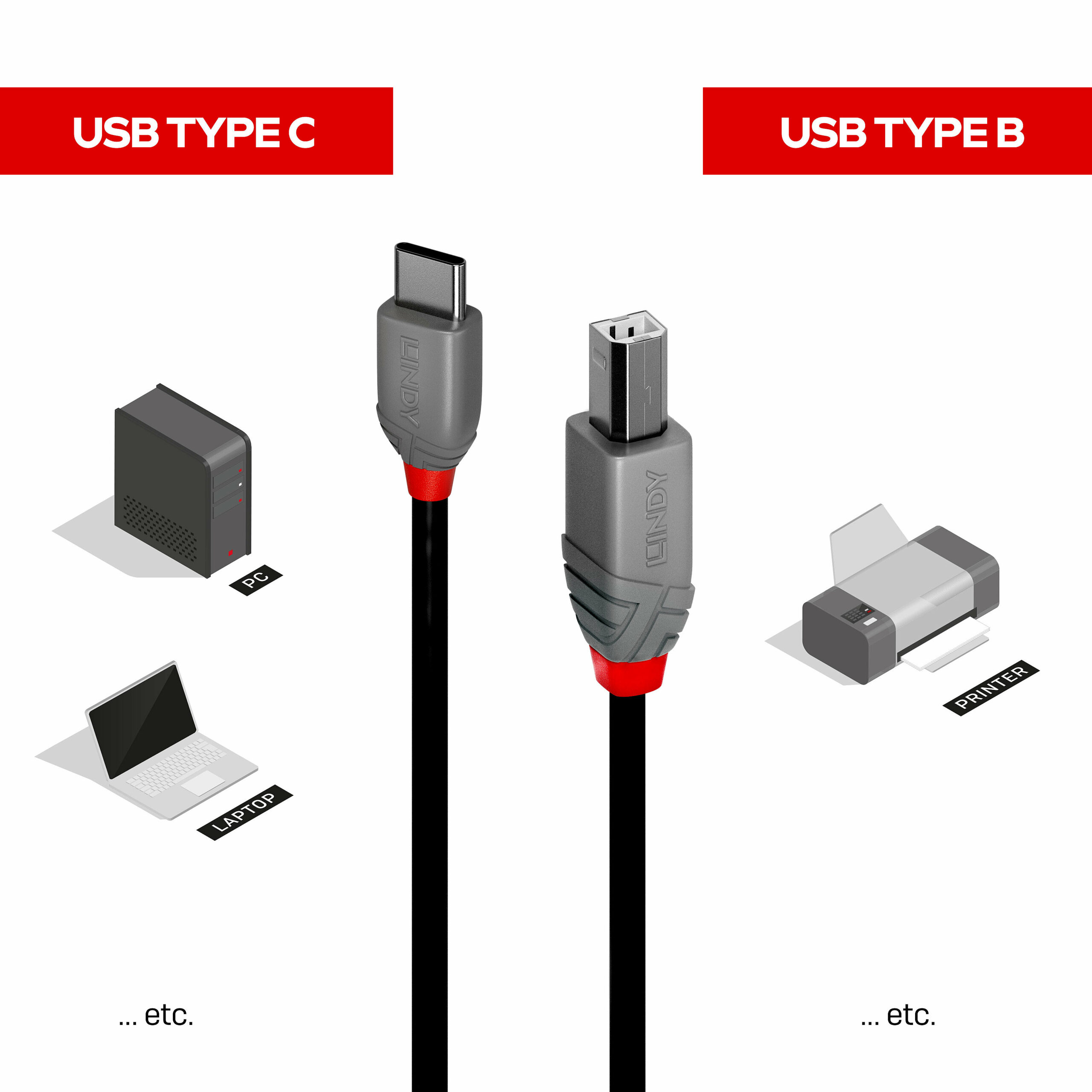 Câble USB 2.0 Type C vers B, Anthra Line, 1m Lindy – Image 4