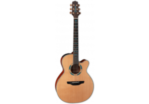 LTD2023 Takamine