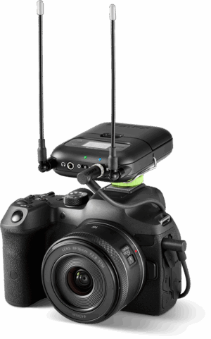 WA311 Shure - Accessoires Microphone - Sonowest