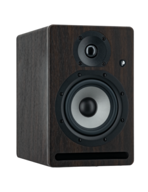 PRO 5 V4 RW Prodipe - Enceinte monitoring - Sonowest