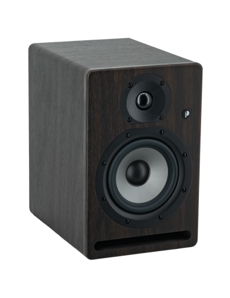 PRO 5 V4 RW Prodipe - Enceinte monitoring - Sonowest