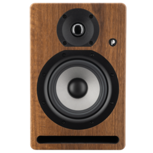 PRO 5 V4 WW Prodipe - Enceinte monitoring - Sonowest