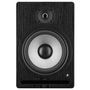PRO 8 V4 BW Prodipe - Enceinte monitoring - Sonowest