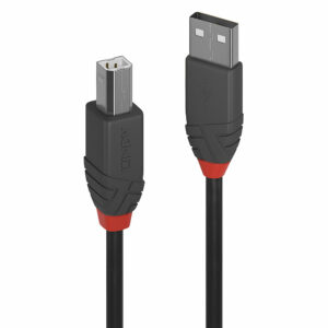 USB type A mâle vers Mini-B mâle Lindy - Câblage - Sonowest