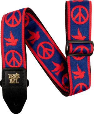 AEB 4698 Ernie Ball - Accessoire et pièce détachée musique - Sonowest