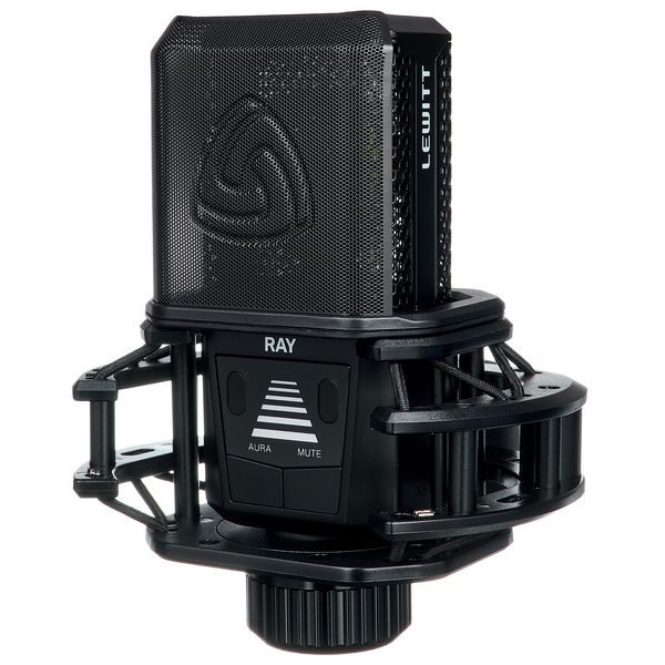 RAY Lewitt – Image 5