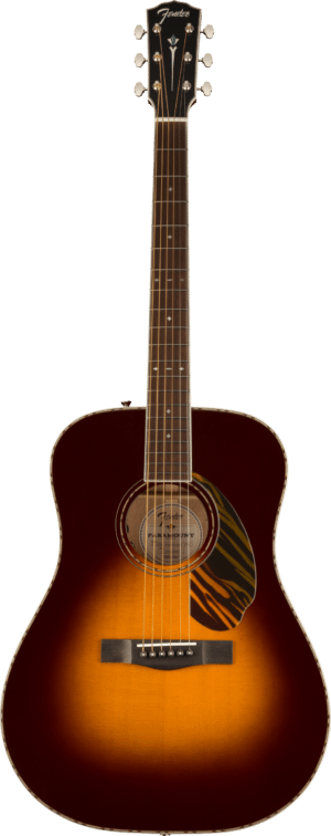 PD-220E ACB Fender - Instruments de musique - Sonowest