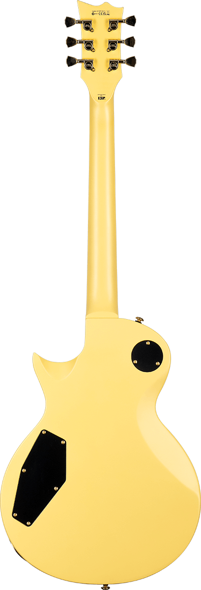 GES-EC256-VGS-1-B