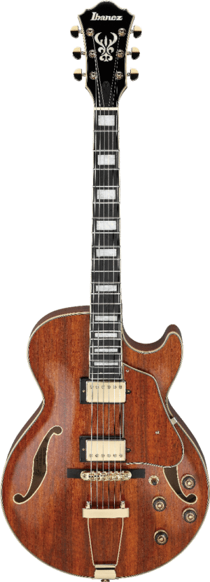 AG95KNT BROWN SUNBURST Ibanez - Guitare - Sonowest