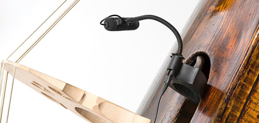dpa-4099-on-bass_1-xl_2