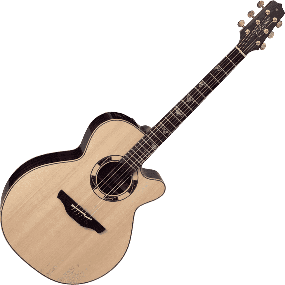 DSF48C Takamine – Image 2