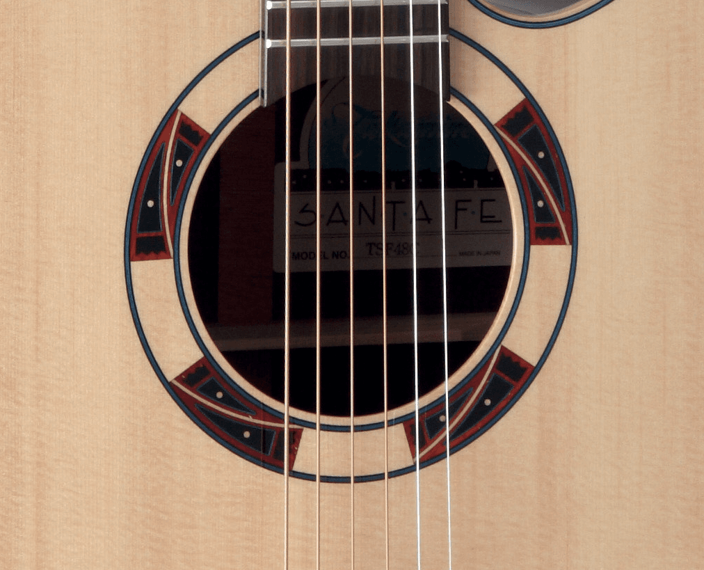 DSF48C Takamine – Image 3