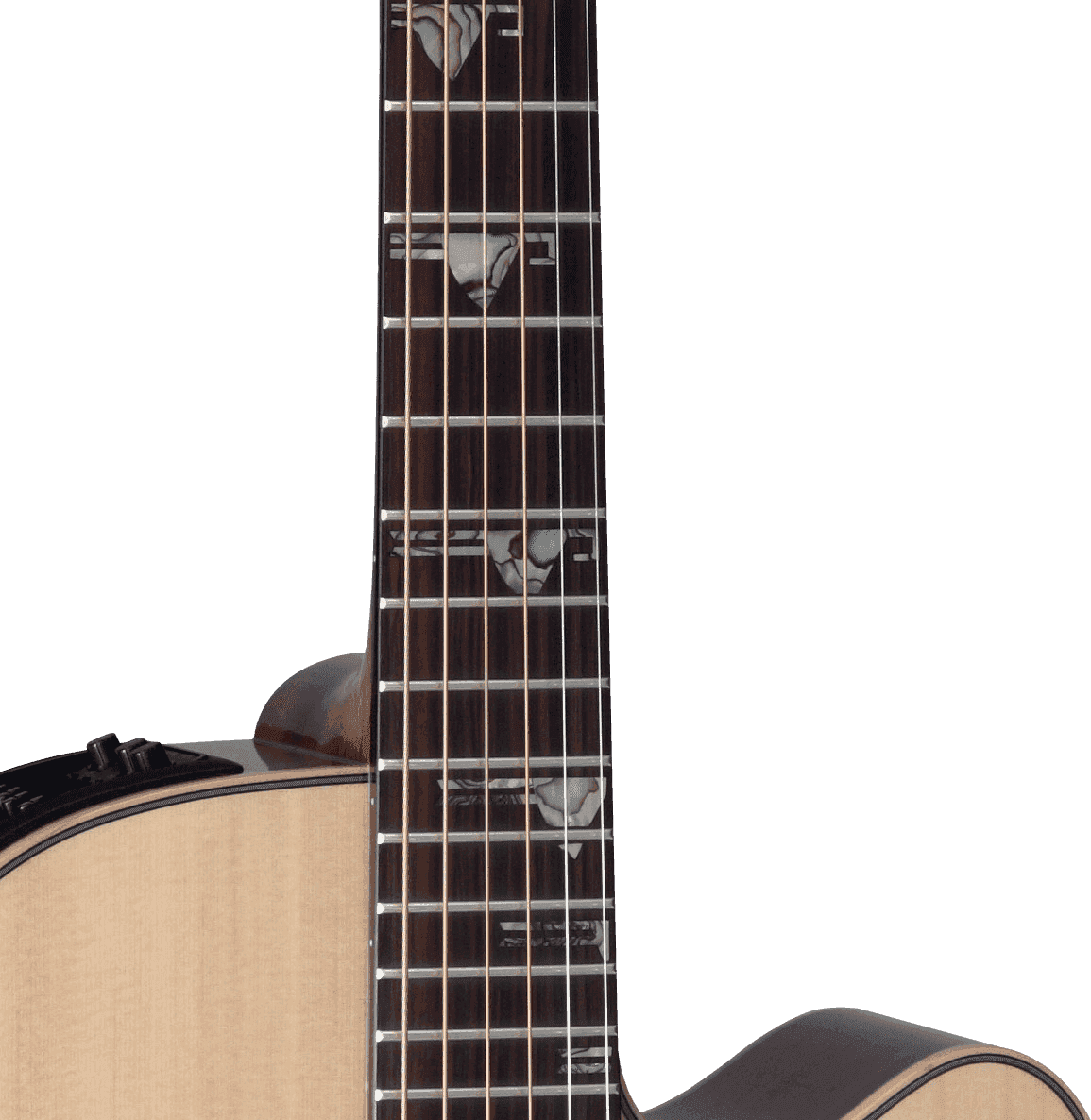 DSF48C Takamine – Image 4
