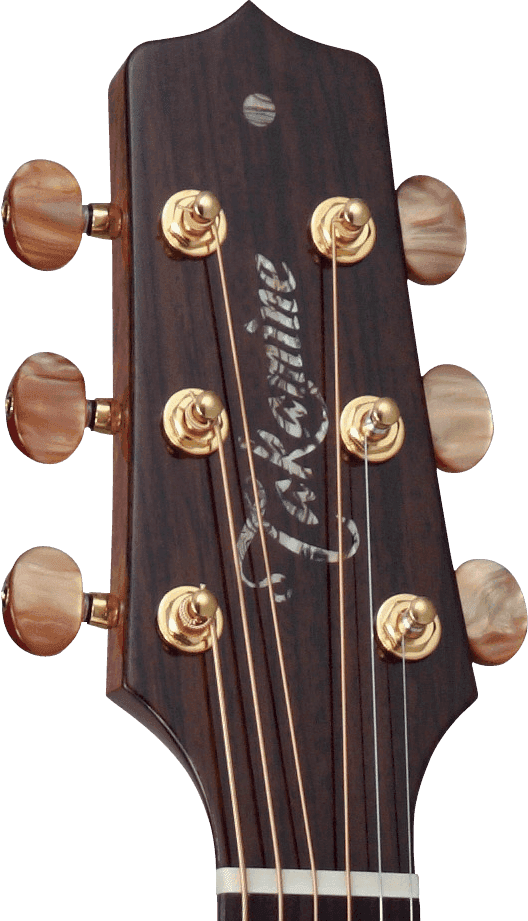 DSF48C Takamine – Image 5