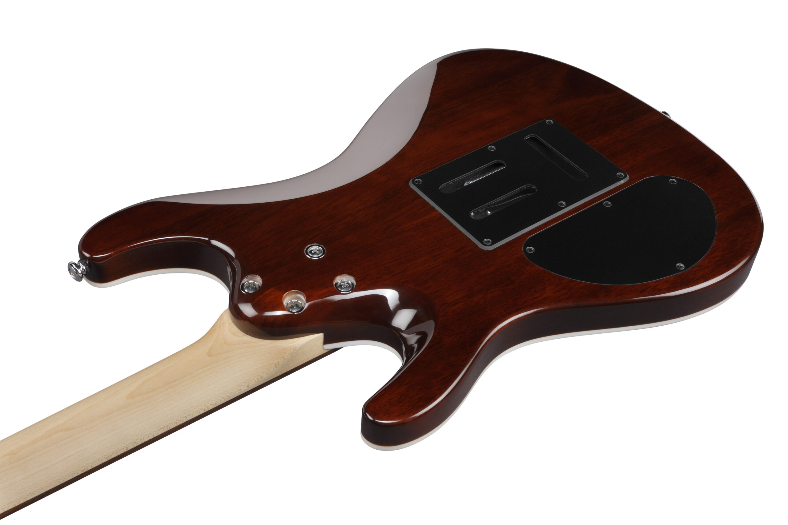 SA260FM-BRG Ibanez – Image 3