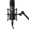 WA-47jr SE BLACK Warm Audio - Home Studio - Sonowest
