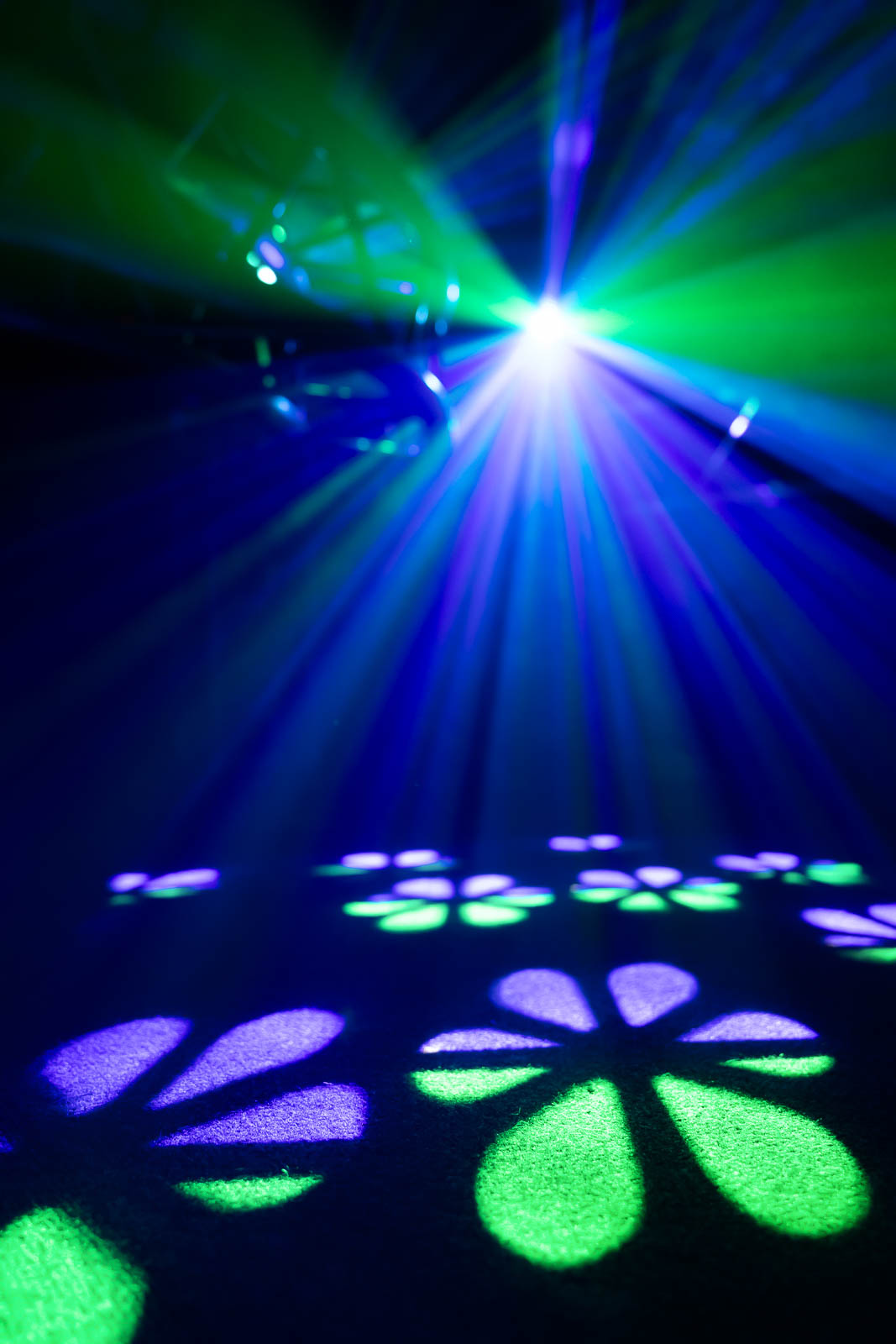 BLAZOR Chauvet DJ - Eclairage - Sonowest