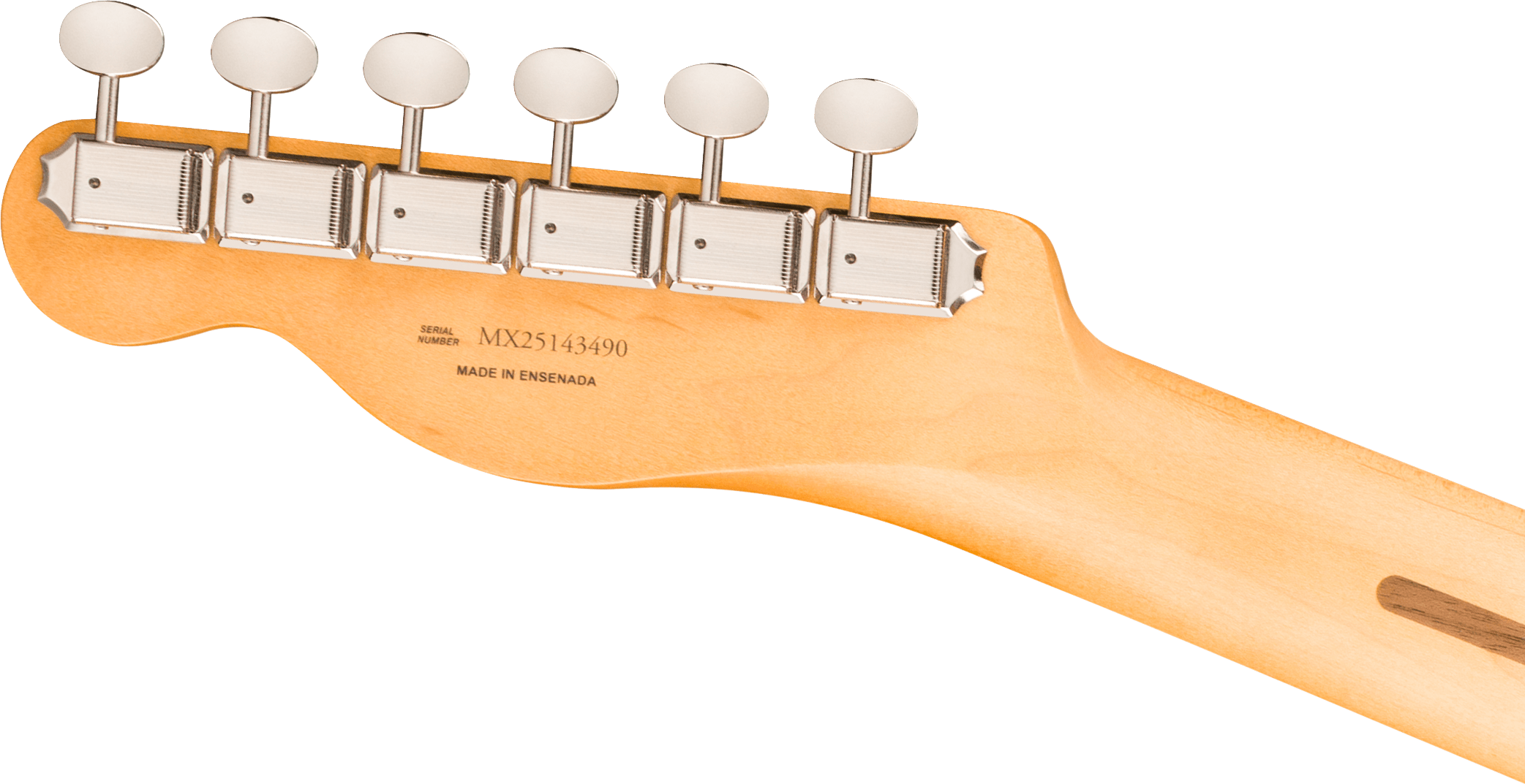 PLAYER II TELECASTER RW RO Fender - Guitares électriques Stratocaster - Sonowest